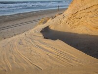 NL, Noord-Holland, Texel, Paal 16 20, Saxifraga-Foto Fitis-Sytske Dijksen