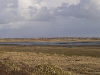 NL, Noord-Holland, Texel, Slufter 41, Saxifraga-Jan Nijendijk