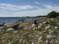 S, Gavleborgs lan, Hudiksvall, Holick 40, Saxifraga-Jan van der Straaten