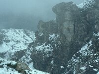 FL, Schaan, Naafkopf 3, Saxifraga-Jan van der Straaten