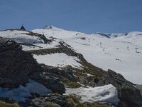 E, Granada, Monachil, Pradollano 33, Pico Veleta, Saxifraga-Willem van Kruijsbergen