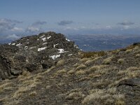 E, Granada, Monachil, Pradollano 34, Saxifraga-Willem van Kruijsbergen