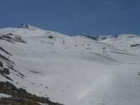 E, Granada, Monachil, Pradollano 38, Pico Veleta, Saxifraga-Willem van Kruijsbergen