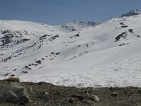 E, Granada, Monachil, Pradollano 50, Saxifraga-Jan van der Straaten