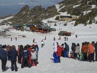 E, Granada, Monachil, Pradollano 8, Saxifraga-Jan van der Straaten