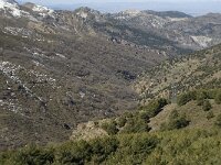 E, Granada, Monachil, Sierra Nevada 2, Saxifraga-Jan van der Straaten