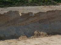 F, Jura, Doucier 1, Saxifraga-Willem van Kruijsbergen