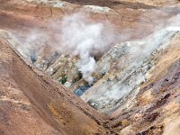 IS, Nordurland eystra, Nordurbing, Namafjall 1, Saxifraga-Dick, Hoogenboom