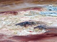 IS, Nordurland eystra, Nordurbing, Namafjall 10, Saxifraga-Dick, Hoogenboom