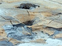 IS, Nordurland eystra, Nordurbing, Namafjall 14, Saxifraga-Mira, Hoogenboom