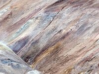 IS, Nordurland eystra, Nordurbing, Namafjall 5, Saxifraga-Dick, Hoogenboom