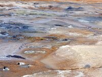 IS, Nordurland eystra, Nordurbing, Namafjall 7, Saxifraga-Dick, Hoogenboom