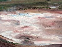 IS, Nordurland eystra, Nordurbing, Peistareykir 11, Saxifraga-Mira, Hoogenboom