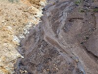 IS, Nordurland eystra, Nordurbing, Peistareykir 15, Saxifraga-Mira, Hoogenboom