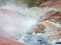 IS, Nordurland eystra, Nordurbing, Peistareykir 18, Saxifraga-Mira, Hoogenboom