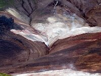 IS, Nordurland eystra, Nordurbing, Peistareykir 6, Saxifraga-Dick, Hoogenboom