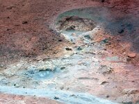 IS, Nordurland eystra, Nordurbing, Peistareykir 8, Saxifraga-Mira, Hoogenboom