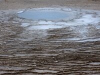 IS, Nordurland vestra, Austur-hunavatnssysla, Hvredalur 19, Saxifraga-Dick Hoogenboom