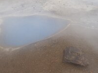 IS, Sudurland, Blaskogabyggd, Geysir 10, Saxifraga-Peter Stein