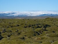 IS, Sudurland, Rangarbing ytra, Eldhraun 1, Saxifraga-Dick Hoogenboom