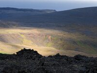 IS, Vesturland, Borgarbyggd, Husafell 2, Saxifraga-Dick, Hoogenboom