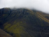 IS, Vesturland, Borgarbyggd, Skardsheidi 1, Saxifraga-Dick, Hoogenboom