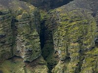 IS, Vesturland, Eyja- og Miklaholtshreppur, Ytri-Raudamelskulur 10, Saxifraga-Mira Hoogenboom