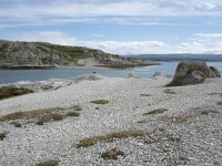 N, Finnmark, Porsanger, Trollholmsund 14, Saxifraga-Willem van Kruijsbergen