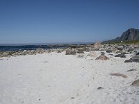 N, Nordland, Andoy, Bleik 6, Saxifraga-Willem van Kruijsbergen