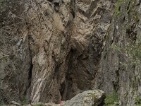 N, Nordland, Bronnoy, Torghatten 17, Saxifraga-Willem van Kruijsbergen