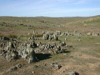 E, Badajos, La Serena, Dientes de Perro 7, Saxifraga-Dirk Hilbers