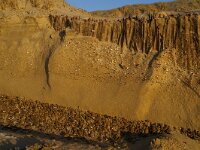 NL, Noord-Holland, Texel, Paal 12 26, Saxifraga-Foto Fitis-Sytske Dijksen