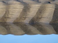 NL, Noord-Holland, Texel, Paal 8 46, Saxifraga-Foto Fitis-Sytske Dijksen