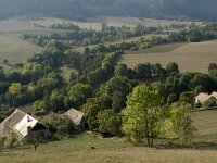 F, Hautes-Alpes, St Etienne-en-Devoluy 3, Saxifraga-Jan van der Straaten