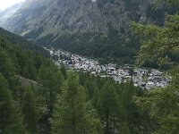 CH, Wallis, Saas Almagell 3, Saxifraga-Willem van Kruijsbergen