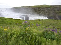 IS, Sudurland, Blaskogabyggd, Gullfoss 9, Saxifraga-Peter Stein
