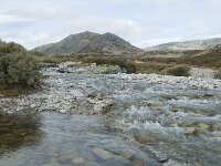 N, Innlandet, Sel, Peer Gynt Hytta 158, Saxifraga-Annemiek Bouwman