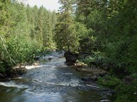 S, Jamtlands lan, Harjedalen, Waterfall 5, Saxifraga-Willem van Kruijsbergen
