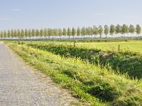 077-383, O, 23-10-2011, NL-Harry Muermans, 51.436965 NB-4.275258 OL, Woensdrecht : Reimerswaal