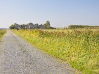 077-383, W, 23-10-2011, NL-Harry Muermans, 51.436965 NB-4.275258 OL, Woensdrecht : Reimerswaal