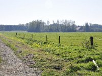 077-383, Z, 23-10-2011, NL-Harry Muermans, 51.436965 NB-4.275258 OL, Woensdrecht : Reimerswaal