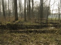 116-381, Z, 2013-03-13, NL- Marijke Verhagen, 116044-381652, Baarle-Nassau