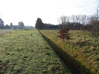 116-407, Z, 15-2-2011, NL-Harry Muermans, 51.391798 NB-4.495101 OL, Oosterhout : 116-407-408