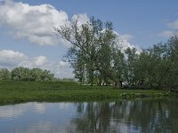 116-416, O, 2014-05-03, NL-Marijke Verhagen, 116517-416493, Drimmelen