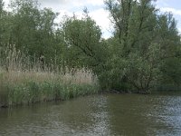 116-416, W, 2014-05-03, NL-Marijke Verhagen, 116517-416493, Drimmelen