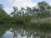 116-416, Z, 2014-05-03, NL-Marijke Verhagen, 116517-416493, Drimmelen