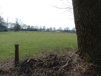 142-375,Z,20-3-2011,NL-Bart Beex,142530-375452,Bladel