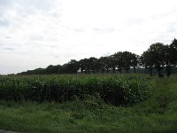 142-409, O, 2013-08-11, NL-KeesLaarhoven, 142575-409450, Heusden : Gement2013