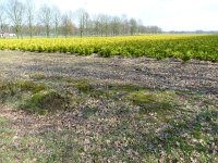 148-372,O,20-3-2011,NL-Bart Beex,148551x372434,Eersel