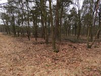 148-387, W, 2015-2-11, NL-Peter Vlamings, 148503-387547, Oirschot